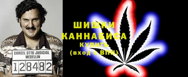 дмт Медногорск