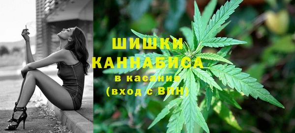 дурь Мегион