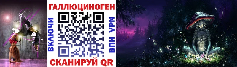 Купить  Дятьково  Галлюциногенные грибы GOLDEN TEACHER 